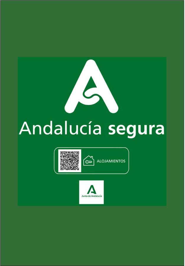 Holidays2malaga Plaza De Toros Vieja & Parking Opcional Appartement *